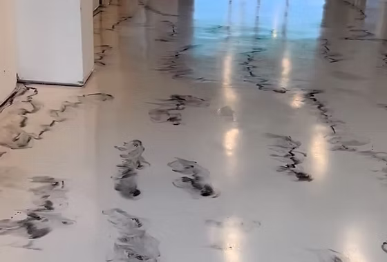 Epoxy flooring project 31: Hallways, Commercial Properties